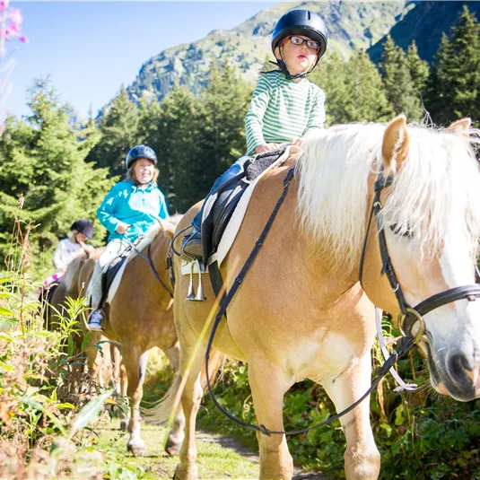 Kinder reiten auf Pferden durch einen schönen, sonnigen Waldweg. Umgeben von Bäumen und grüner Natur haben sie viel Spaß.