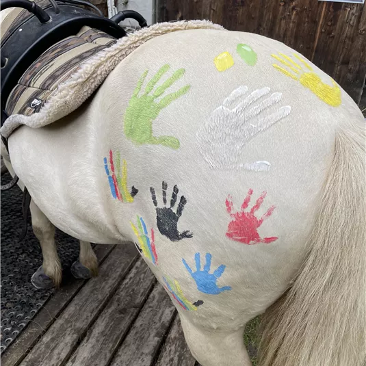 A horse with colorful handprints on its hindquarters stands on a wooden walkway. In the background, a barn is visible.