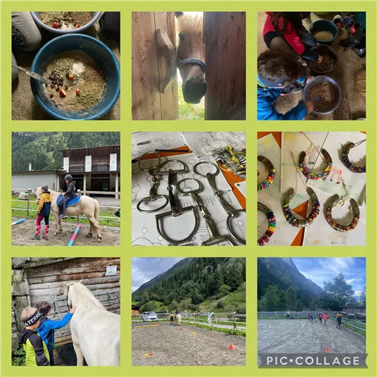 The image shows various activities on a horse farm. Children can be seen working with horses, feeding them, and using various equipment.