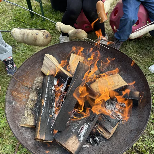 A cozy campfire with crackling flames and fresh wood. People are roasting sausages over the fire.