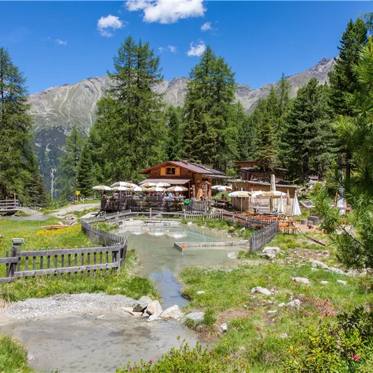 Ein gemütliches Berghaus umgeben von grünen Bäumen und Wiesen. Im Hintergrund sind majestätische Berge und ein klarer blauer Himmel zu sehen.