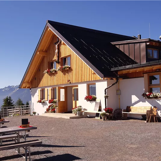 Ein malerisches Haus auf einem grünen Hang mit blühenden Pflanzen im Vordergrund. Die Berge sind im Hintergrund sichtbar, unter einem klaren blauen Himmel.