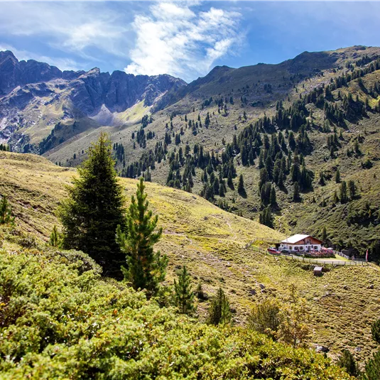 Eine malerische Berglandschaft mit grünen Hügeln und dunklen Nadelbäumen. Im Hintergrund sind majestätische Berge und ein hellblauer Himmel zu sehen.