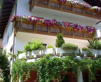 Ein hübsches Haus mit vielen Blumenkästen an den Balkonen. Die Fassade ist von grünen Pflanzen umgeben, was eine einladende Atmosphäre schafft.