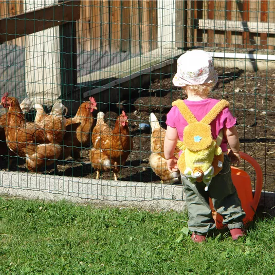 Ein kleines Kind mit einem Rucksack steht vor einem Hühnergehege. Die Hühner laufen im Gehege und sammeln sich um das Kind.