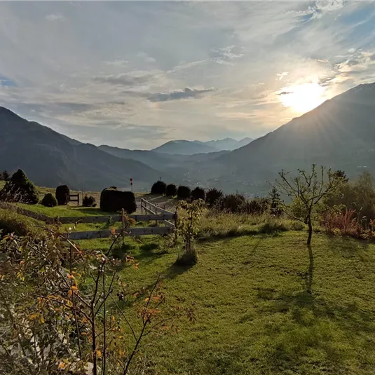A picturesque landscape with gentle hills and mountains in the background. The sun is rising on the horizon, illuminating the green grass and the trees.