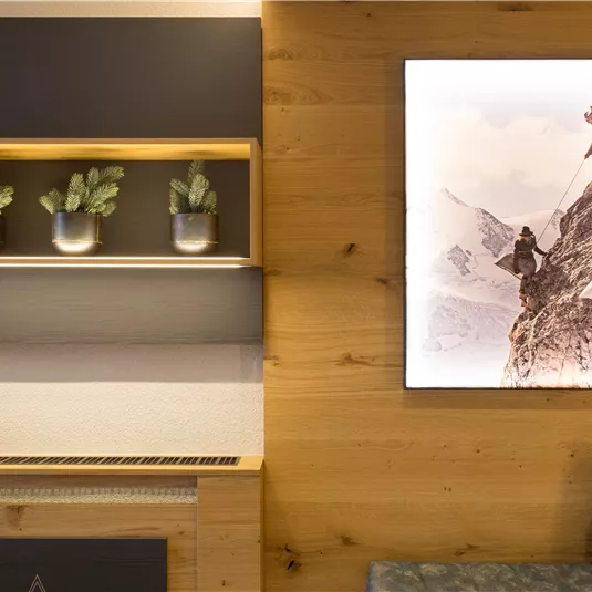 A modern room with wooden-paneled walls and stylish wall lighting. On the wall hangs a picture of a mountain climber, surrounded by potted plants.