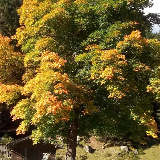 20161005_102251