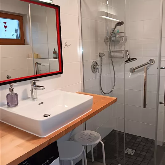 Ein modernes Badezimmer mit einer Dusche und einem Waschbecken auf einem Holzregal. Ein großer Spiegel und eine Waschmaschine sind ebenfalls sichtbar.