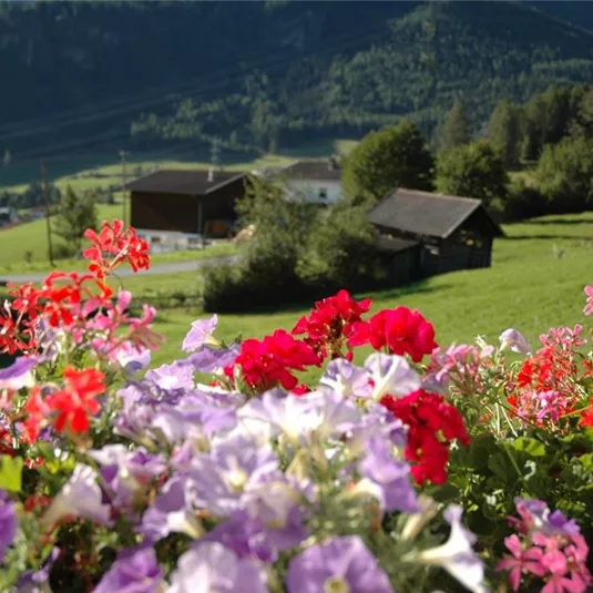 Bunte Blumen in den Vordergrund und grüne Wiesen im Hintergrund. Kleine Häuser liegen in einer malerischen Berglandschaft.