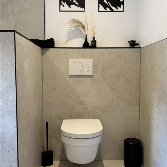 A modern bathroom with a stylish toilet and minimalist decoration. Artistic pictures of mountains hang on the wall.