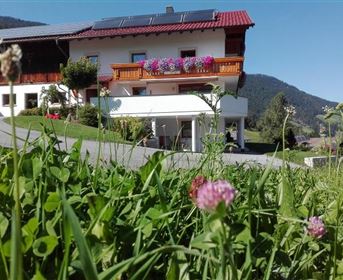 Ein charmantes Haus mit einem roten Dach und bunten Blumenbalkonen. Im Vordergrund wachsen grüne Wiesen und kleine Blumen.