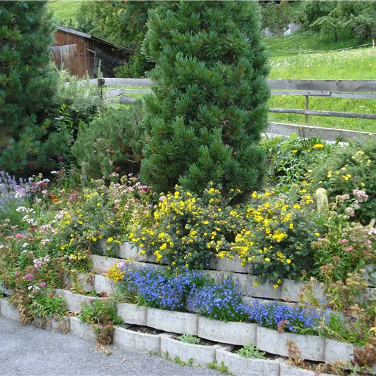 Bild 029