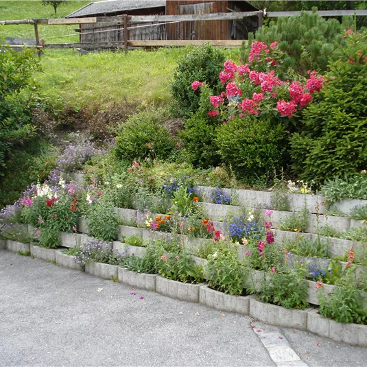 Bild 030