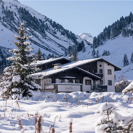 Ein ruhiges, winterliches Landschaftsbild mit einem Holzhaus und schneebedeckten Bäumen. Die Berge im Hintergrund sind majestätisch und strahlen eine friedliche Atmosphäre aus.