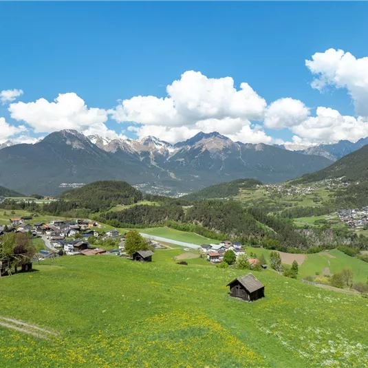 A picturesque landscape with green meadows and snow-capped mountains in the background. In the foreground, there are small houses and a village.