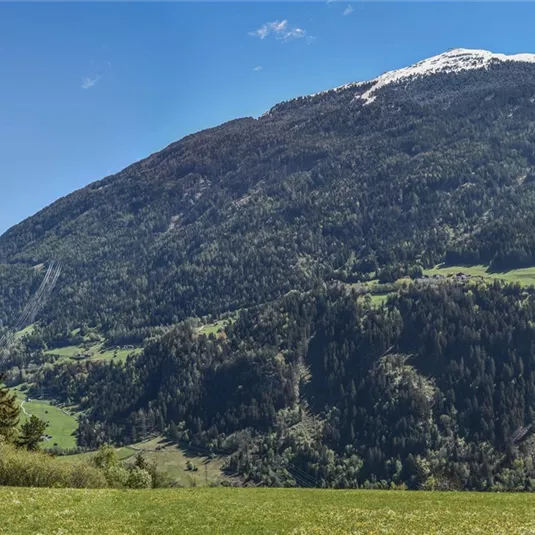 DSC_4664-Pano-1