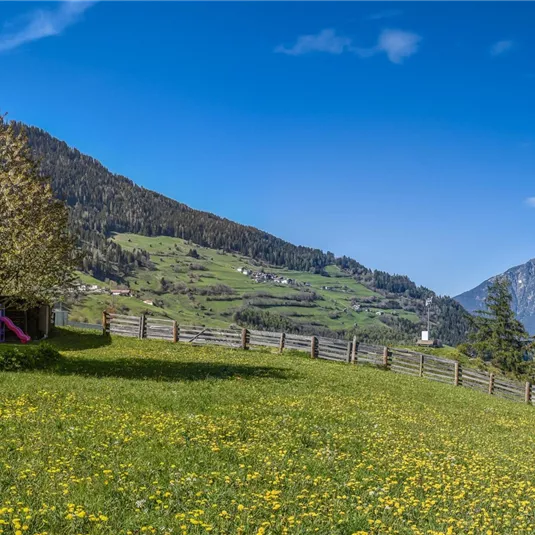 DSC_4708-Pano-1