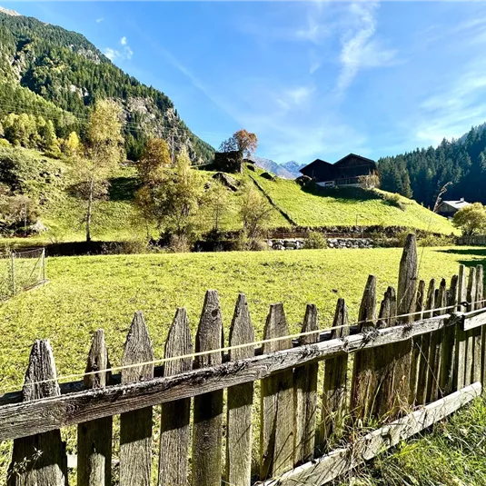 A green meadow surrounded by a wooden fence. In the background, mountains and a few traditional houses are visible.