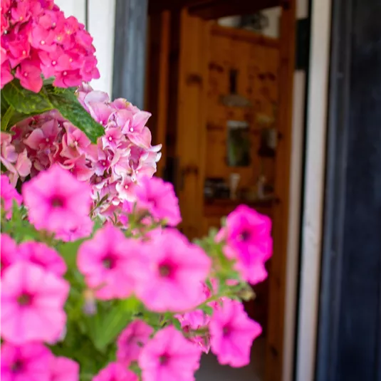 Colorful flowers in pink and purple bloom in front of an open door. The entrance radiates an inviting atmosphere.