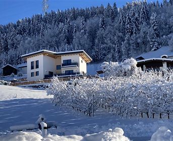 A modern house in the midst of a snowy landscape. Snow-covered trees can be seen in the background.