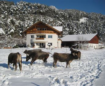 A snowy landscape with cows standing around a farmhouse. In the background, there are mountains and a blue sky.
