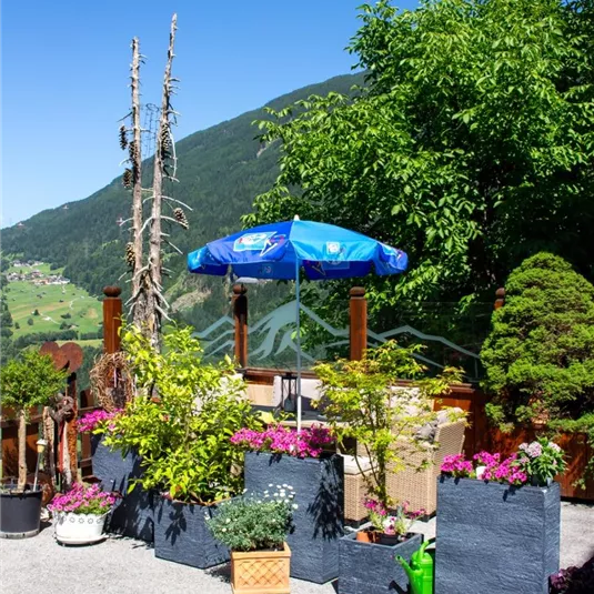 A beautiful outdoor area with colorful flowers and a sunshade. In the background, green mountains and a clear blue sky can be seen.