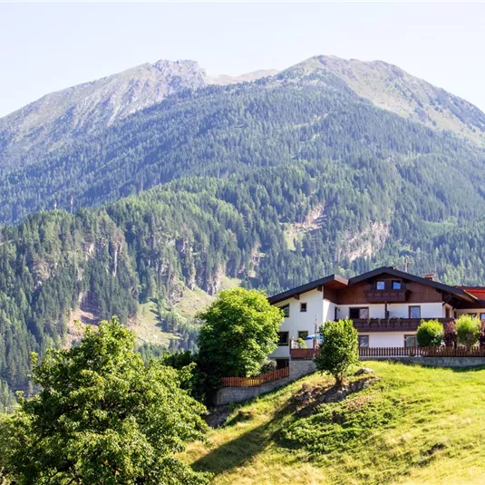A beautifully situated house on a hill, surrounded by green meadows and trees. In the background, a majestic mountain rises.