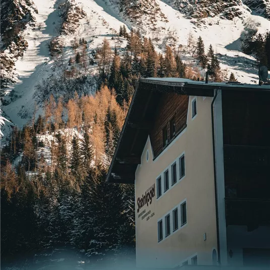 A chalet in the mountains with snow-capped peaks in the background. Surrounded by firs and autumn trees.