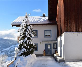 A cozy house in winter with snow on the roof. A green fir tree stands in front of the entrance.