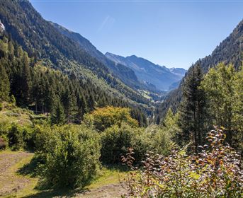 A picturesque mountain landscape with green forests and tall mountains. The sky is clear and blue, which emphasizes the natural beauty of the surroundings.
