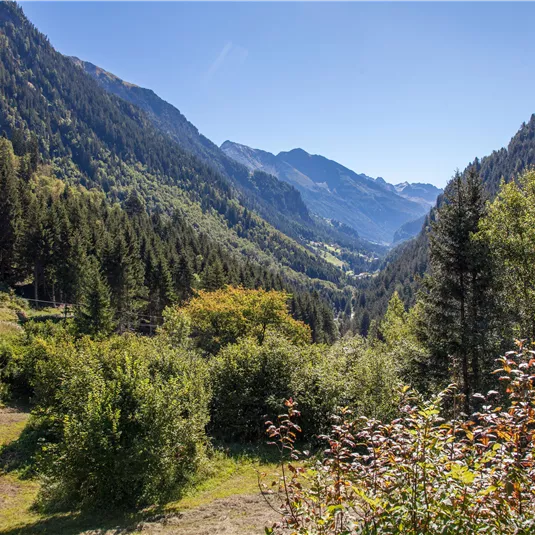 A picturesque mountain landscape with green forests and tall mountains. The sky is clear and blue, which emphasizes the natural beauty of the surroundings.