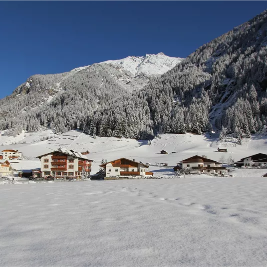 Hotel Alpenhof Pitztal Winter 6