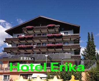 The Hotel Erika is an elegant building with several floors and balconies adorned with flowers. It lies under a clear blue sky, surrounded by trees.