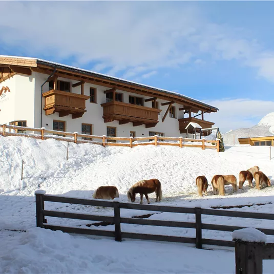 A beautiful chalet in the snow with horses in the foreground. The sky is clear and there are mountains in the background.