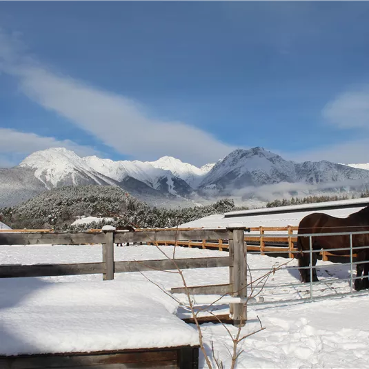 A winter landscape with snow-covered fields and majestic mountains in the background. A horse stands near a wooden fence.