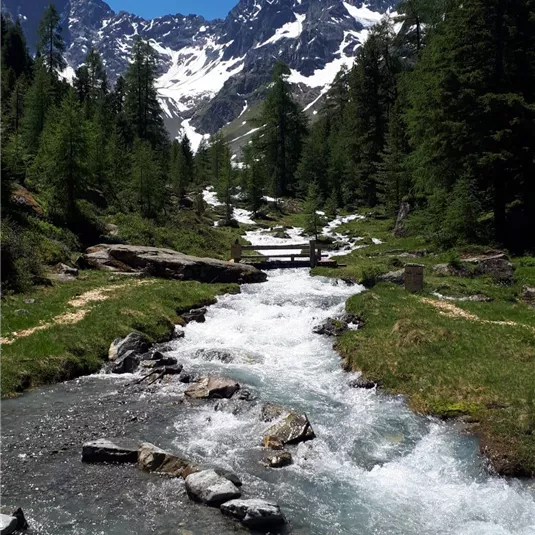 IMG-20190630-WA0025