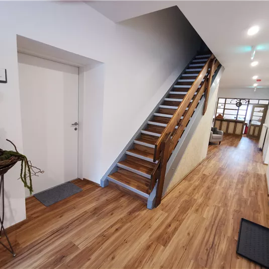 A bright hallway with wooden flooring and a staircase. On the left is a small flowerpot with a Christmas tree.
