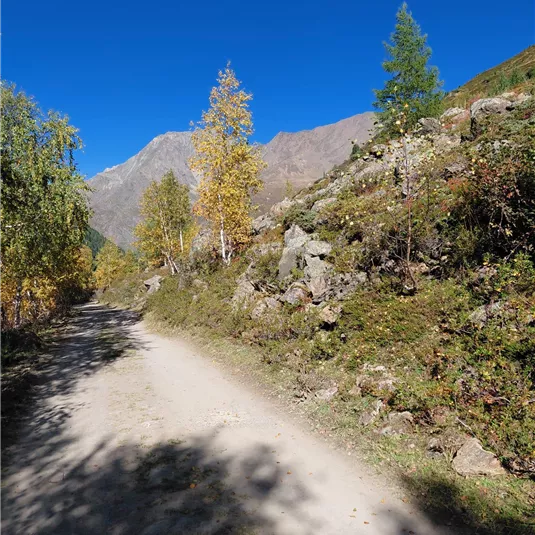 A narrow, dusty path winds through a picturesque landscape. Trees with autumn colors surround the path, while the clear blue sky shines above.