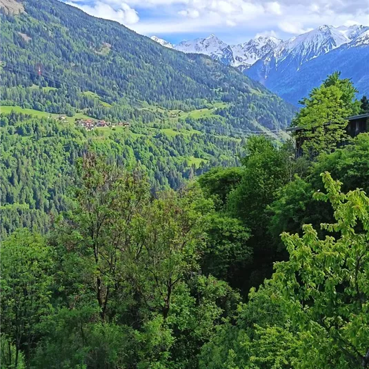 Eine malerische Landschaft mit grünen Wiesen und bewaldeten Hügeln. Im Hintergrund sind schneebedeckte Berge und ein blauer Himmel mit Wolken zu sehen.