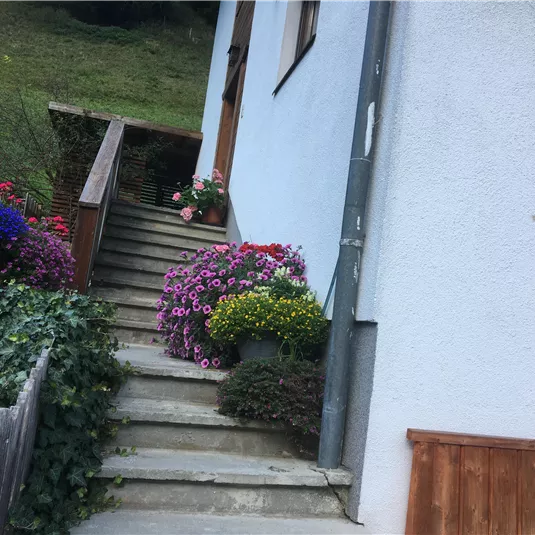A beautiful staircase leading up to a house, surrounded by colorful flowers. The steps are lined with green plants, creating an inviting atmosphere.
