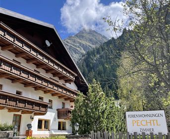 Zirben Nest im Sommer (ehem. Pension Pechtl)