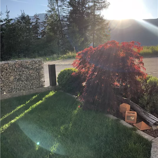 Ein schöner Garten mit grünem Rasen und einem leuchtend roten Baum. Die Sonne scheint hell im Hintergrund.