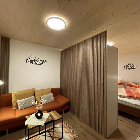 A modern room with a cozy sofa and a sleeping area. The walls are painted in warm tones, and there is a stylish partition.