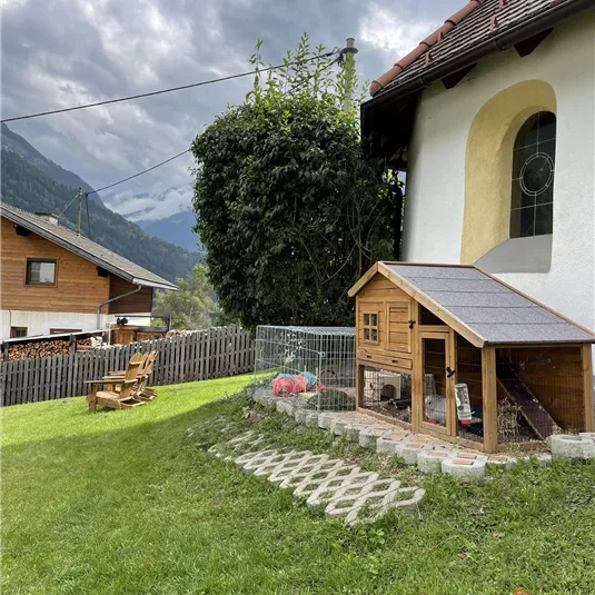 A small garden with a wooden house for animals and a well-maintained lawn. In the background, a barn and mountains are visible.