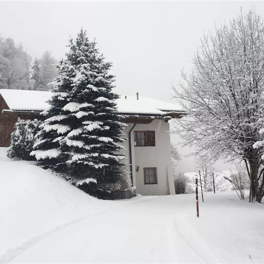 A snow-covered house surrounded by snow-covered trees. The landscape is calm and wintry.