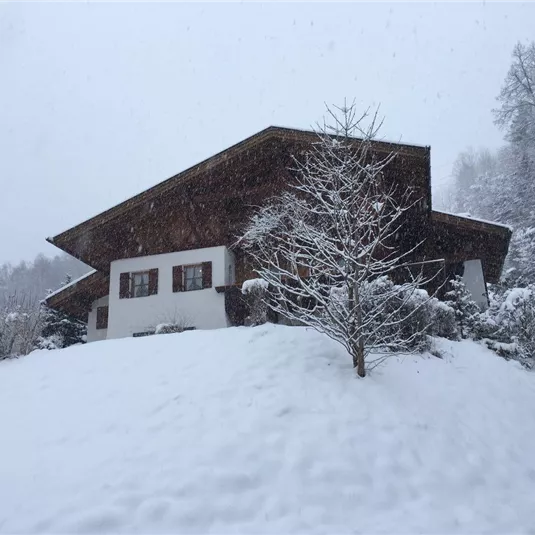 A cozy wooden house in the snow, surrounded by snow-covered trees. It is lightly snowing and the landscape is bathed in a wintry atmosphere.