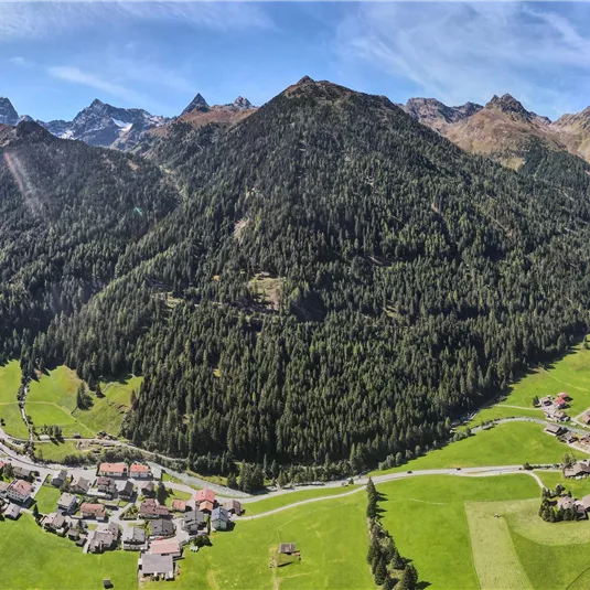 A picturesque mountain landscape with green meadows and dense forests. In the background, majestic mountains and a small village can be seen.