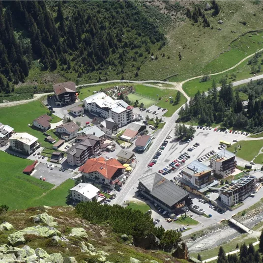 Mandarfen