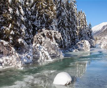 Ein verschneiter Fluss, umgeben von schneebedeckten Bäumen. Im Hintergrund sind Berge unter klarem Himmel sichtbar.